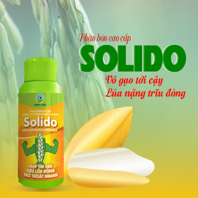 SOLIDO_-26-07-2023-10-20-46.png
