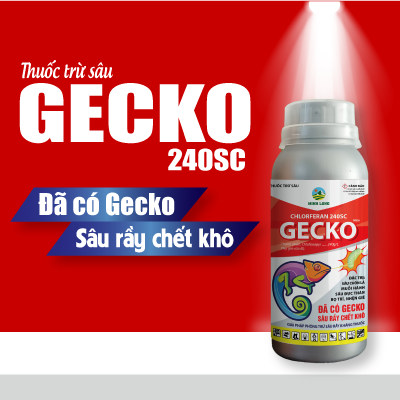 gecko_-26-07-2023-13-51-26.png